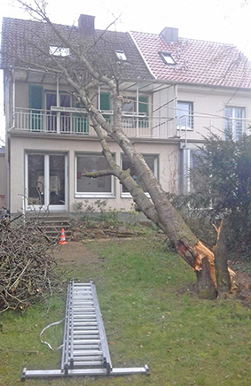 Baumfällung nach Sturmschaden